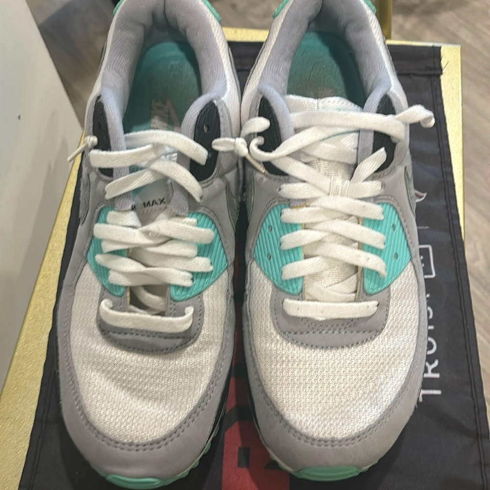 Nike Air Max sneakers